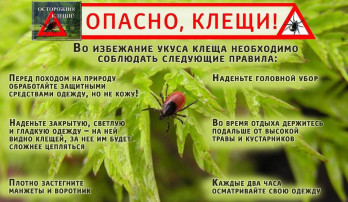 Осторожно Клещи Осторожно Клещи.