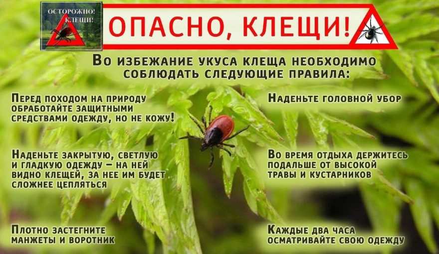 Осторожно Клещи Осторожно Клещи.